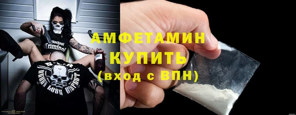 стаф Алзамай