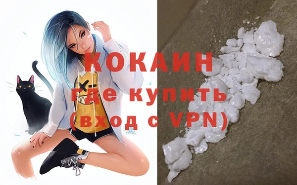стаф Алзамай